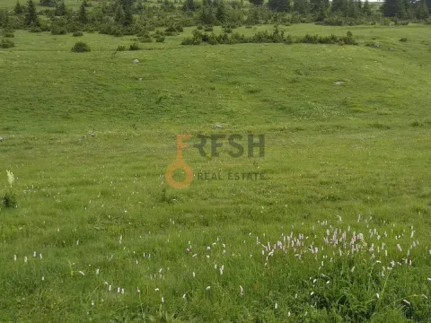 Prodaja, plac, 1600m², Žabljak, Crna Gora