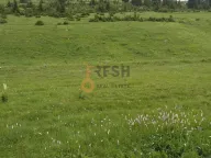 Prodaja, plac, 1600m², Žabljak, Crna Gora - image 1