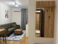 Izdavanje, jednosoban stan, 40m², Central Point, Podgorica - image 8