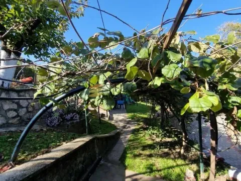 Sale, house, 160m², Čerević, Beočin - image 15