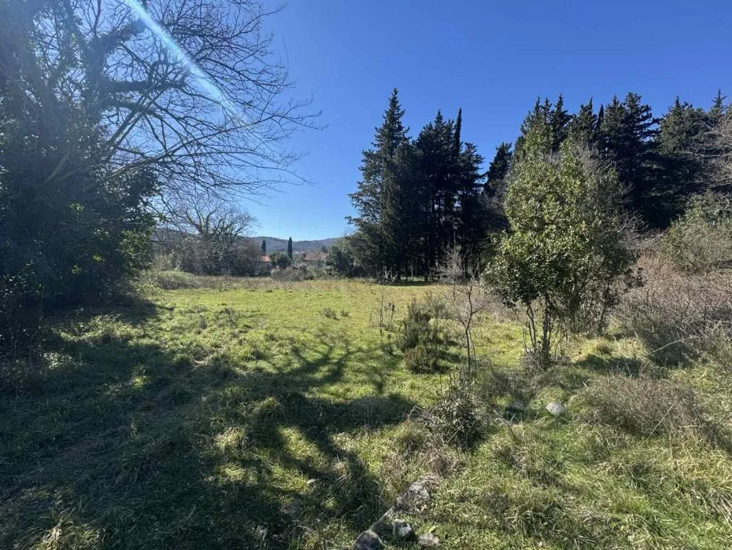 Prodaja, plac, 7800m², Zelenika, Podgorica