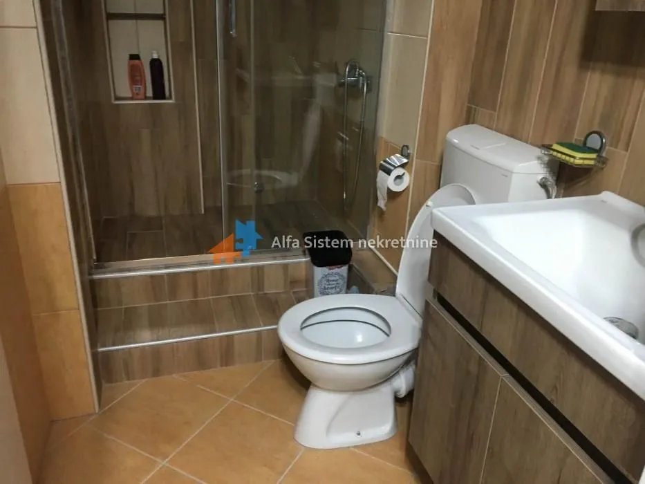Bathroom equipped with a walk-in shower, toilet, and washbasin.