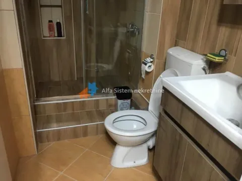Bathroom equipped with a walk-in shower, toilet, and washbasin. - image 26