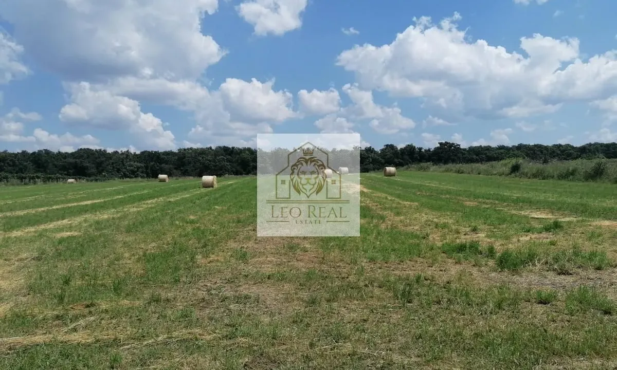 Sale, land lot, 104m², Surčin, Beograd