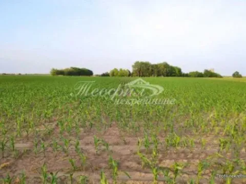 Prodaja, plac, 18100m², Bačka Topola, Srbija - image 3