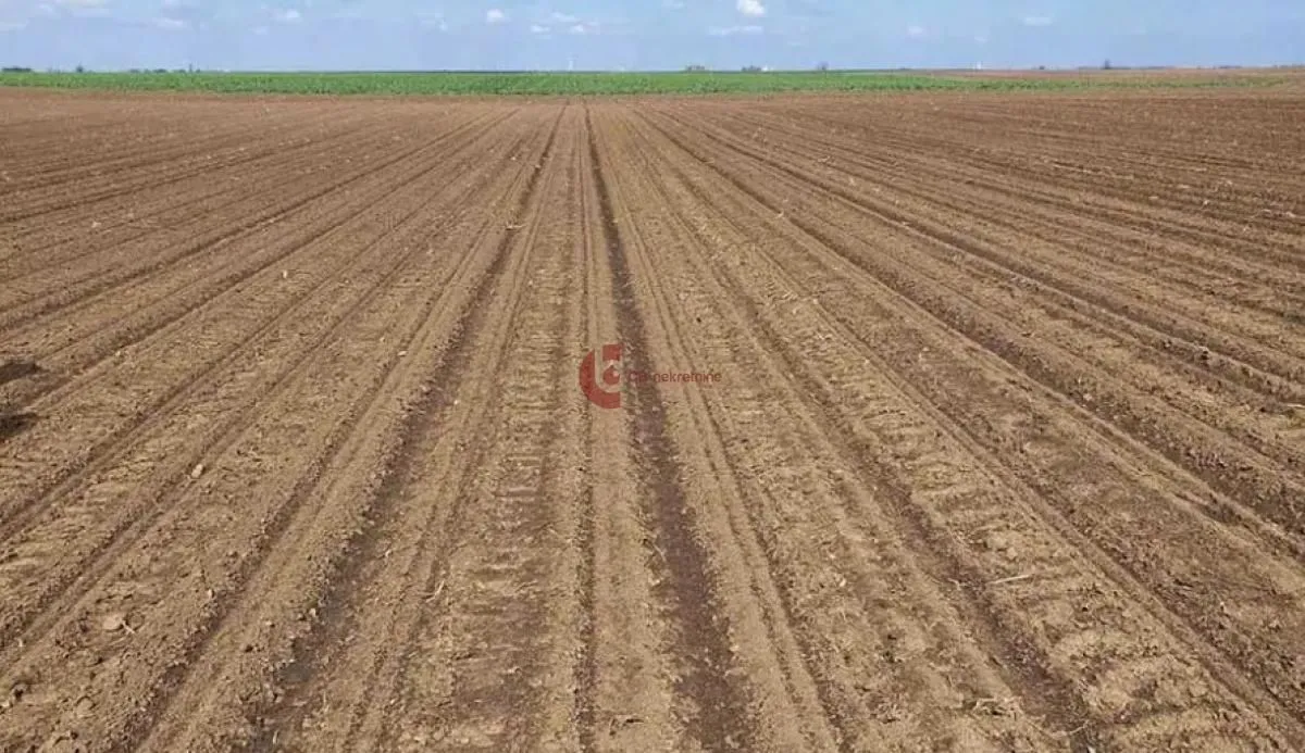 Prodaja, plac, 253m², Đurđin, Subotica