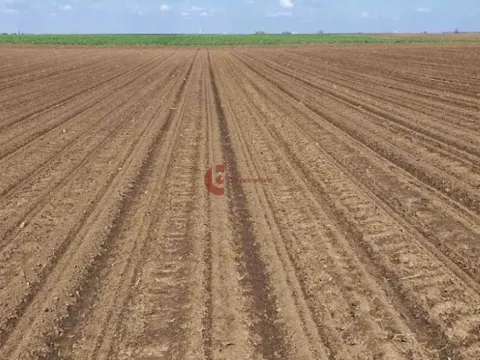 Sale, land lot, 253m², Đurđin, Subotica