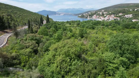 Pogled na zeleno okruženje i obalu sa brda. - image 2