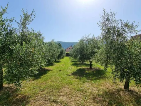 Izdavanje, kuća, 75m², Lastva Grbaljska, Kotor - image 22