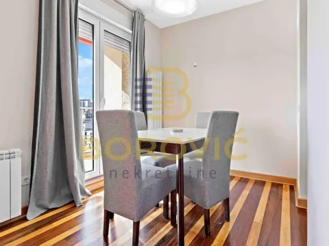 Izdavanje, dvosoban stan, 64m², Savski Venac, Beograd - image 4