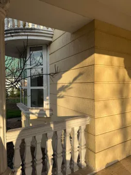 Part of the house facade with a terrace and balustrade in sunlight. - image 7