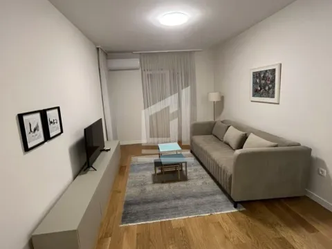 Rent, one bedroom apartment, 48m², Central Point, Podgorica - image 3
