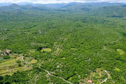Prodaja, plac, 37000m², Lješanska Nahija, Podgorica - image 3