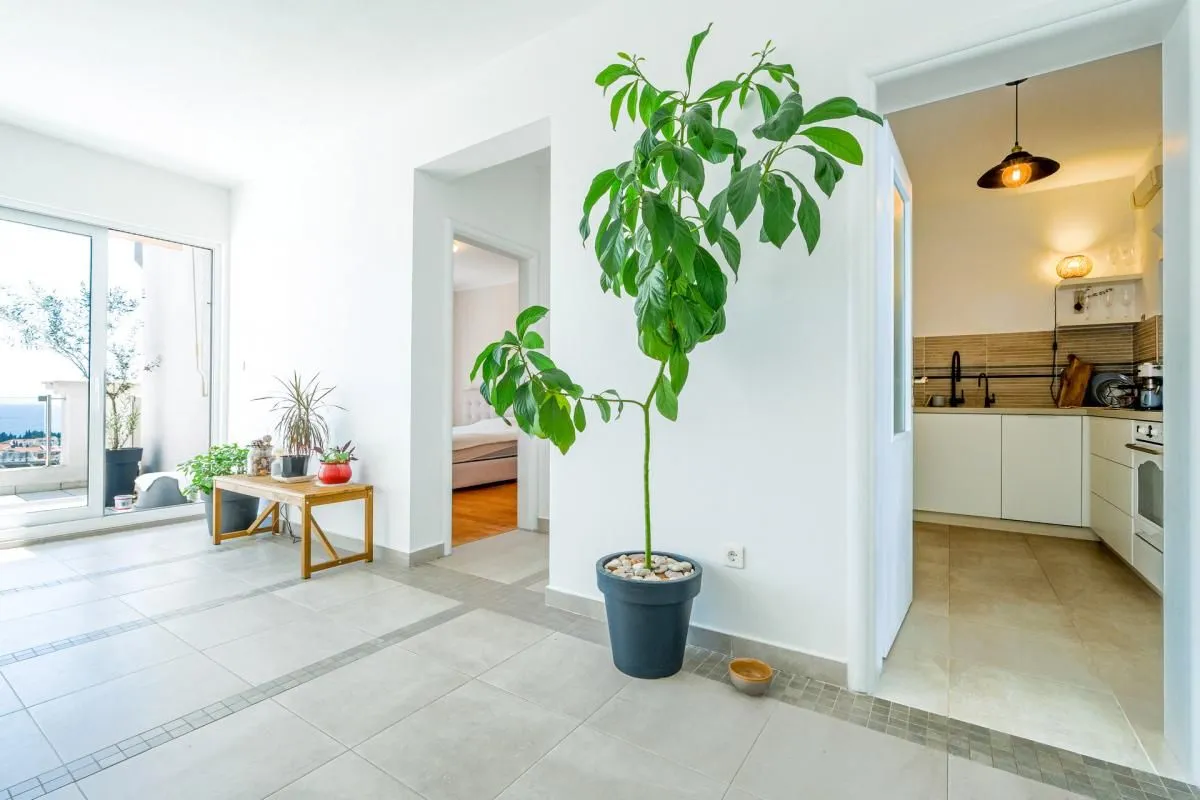 Sale, one bedroom apartment, 65m², Budva, Crna Gora