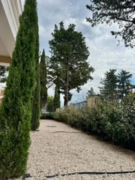 Uređeno dvorište sa stazom posutom šljunkom i čempresima. - image 4