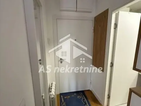 Izdavanje, dvosoban stan, 47m², Zemun Sve Podlokacije, Beograd - image 15