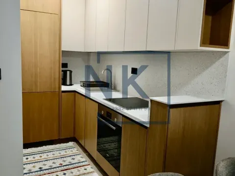 Rent, one bedroom apartment, 43m², Vezirov Most, Podgorica - image 5