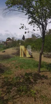 Pogled na zeleno dvorište sa stablima i okolnim kućama. - image 10