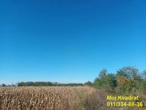 Sale, land lot, 13956m², Smederevo, Srbija - image 4