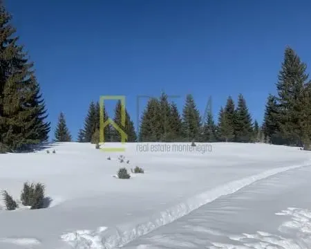 Prodaja, plac, 400m², Žabljak, Crna Gora - image 6