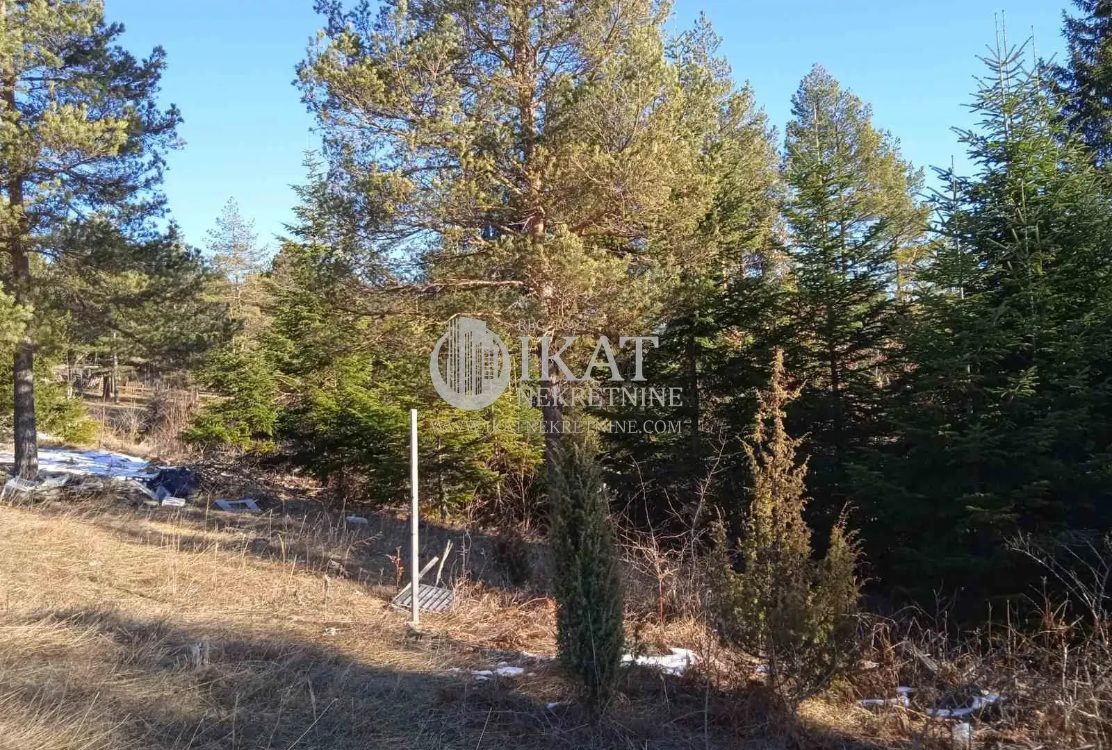 Sale, land lot, 1100m², Tara, Srbija