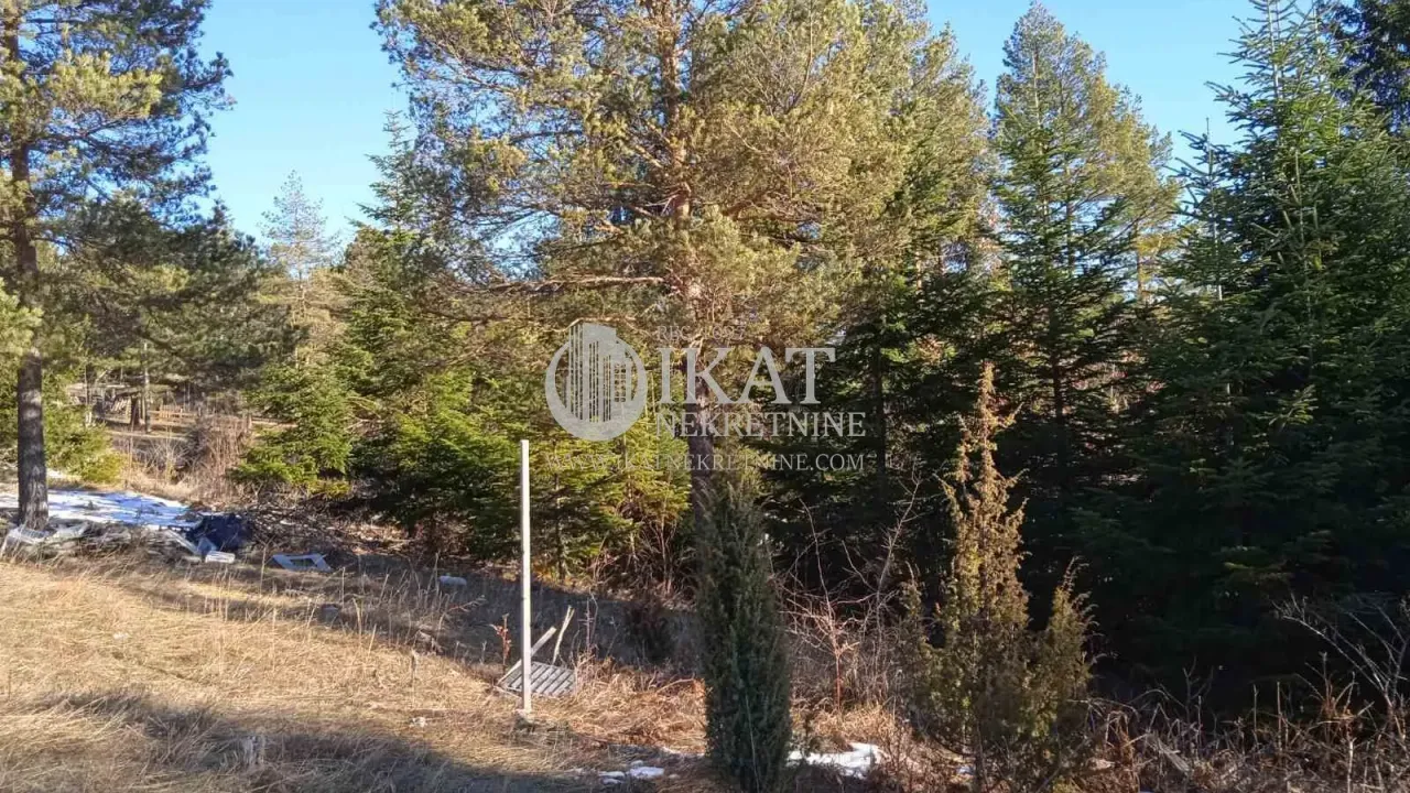 Sale, land lot, 1100m², Tara, Srbija