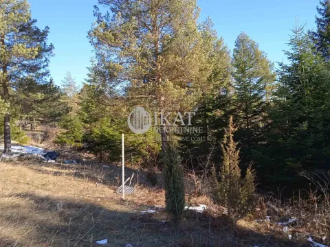 Sale, land lot, Tara, Srbija