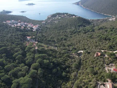 Prodaja, plac, 849m², Luštica, Herceg Novi - image 6