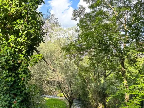 Prodaja, kuća, 230m², Nikšić, Crna Gora - image 6