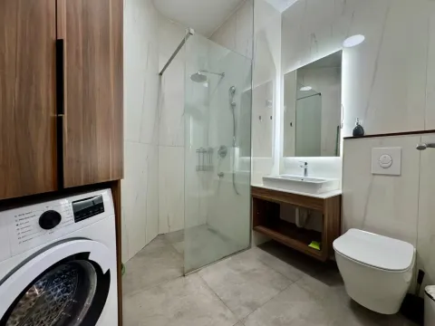 Modern bathroom equipped with a walk-in shower, washbasin, toilet, and washing machine. - image 9