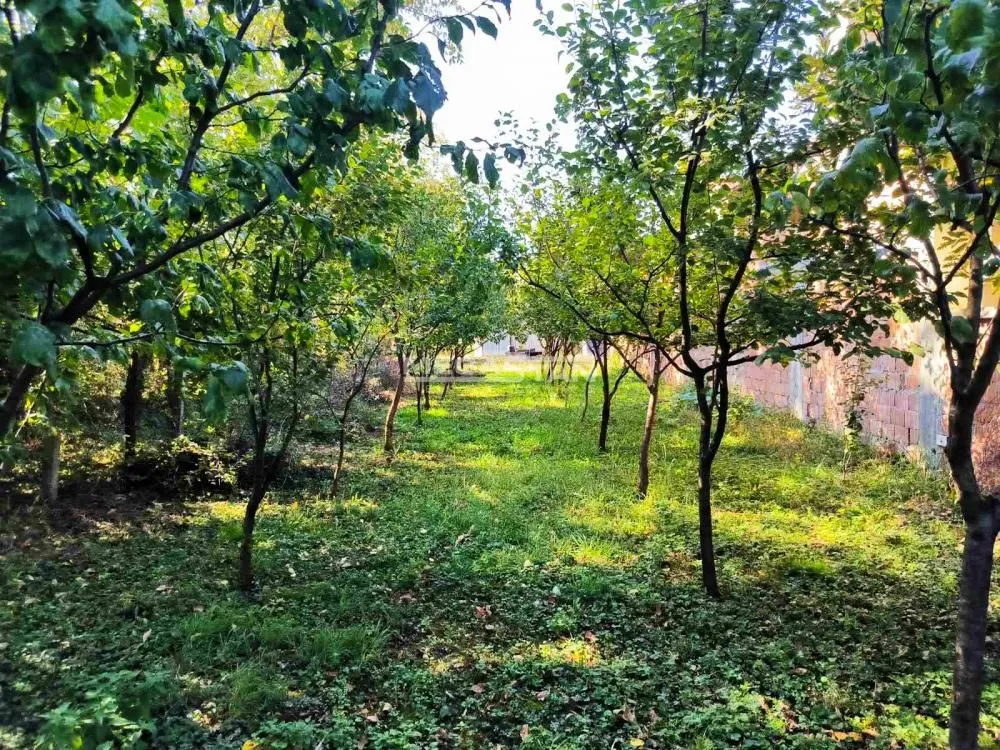 Prodaja, plac, 584m², Stari Tamiš, Pančevo