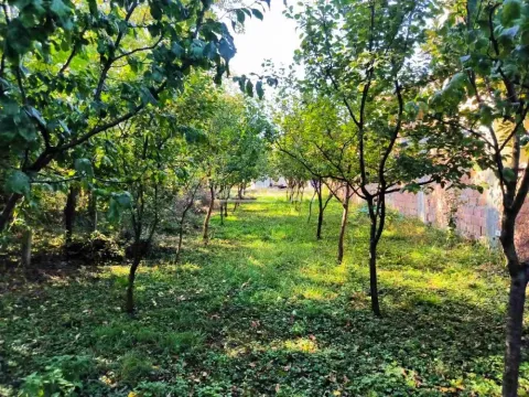 Sale, land lot, 584m², Stari Tamiš, Pančevo - image 3