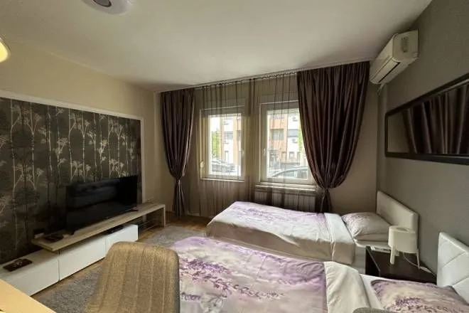 Rent, one bedroom apartment, 25m², Južni Bulevar, Vračar Sve Podlokacije