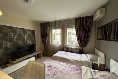 Rent, one bedroom apartment, 25m², Južni Bulevar, Vračar Sve Podlokacije - image 3