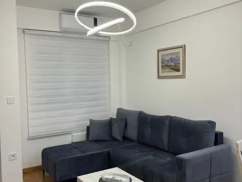 Izdavanje, jednosoban stan, 40m², Zabjelo, Podgorica - image 9