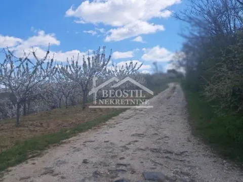 Prodaja, plac, 1800m², Ritopek, Grocka - image 7