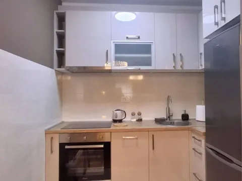 Izdavanje, stan, 48m², Central Point, Podgorica - image 6