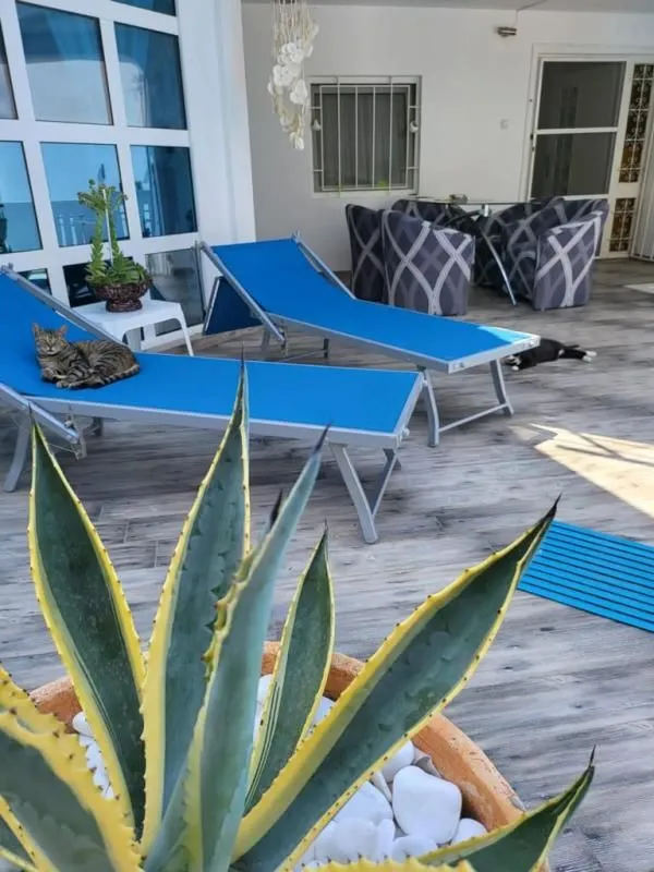 Prodaja, kuća, 250m², Dobra Voda, Budva