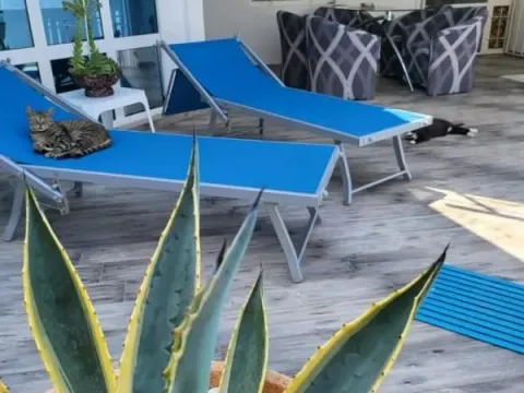 Sale, house, 250m², Dobra Voda, Budva - image 6