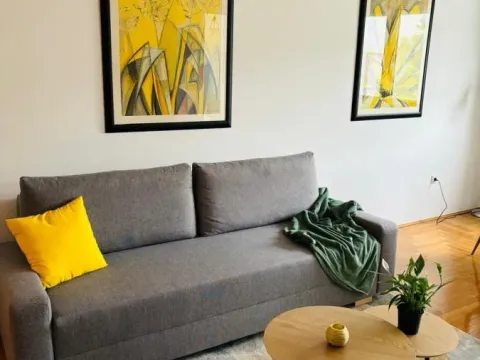 Izdavanje, dvosoban stan, 50m², Socijalno, Novi Sad Sve Podlokacije - image 2