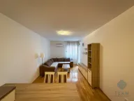 Izdavanje, jednosoban stan, 50m², Ljubović, Podgorica - image 3