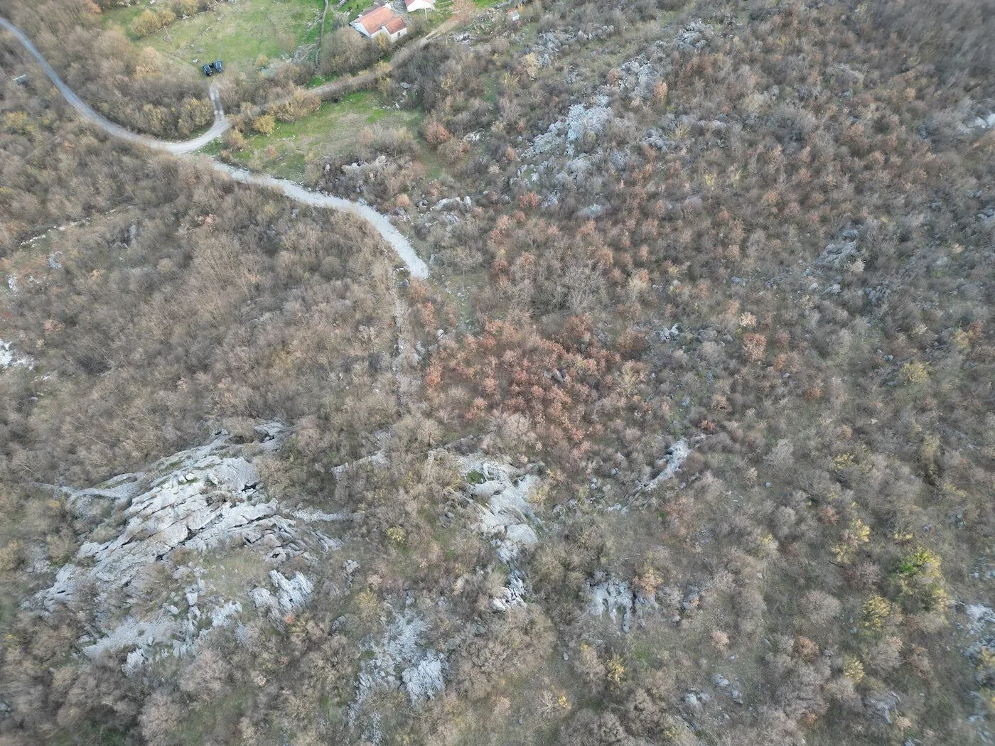 Prodaja, plac, 13500m², Bandići, Danilovgrad