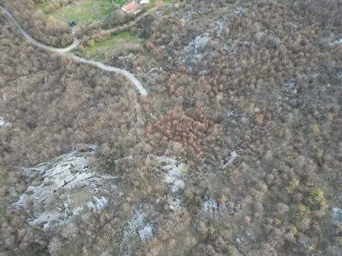 Prodaja, plac, 13500m², Bandići, Danilovgrad - image 9