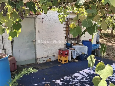 Prodaja, kuća, 30m², Ledinci, Petrovaradin - image 3