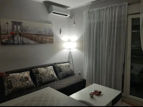 Izdavanje, garsonjera, 30m², Ljubović, Podgorica - image 3