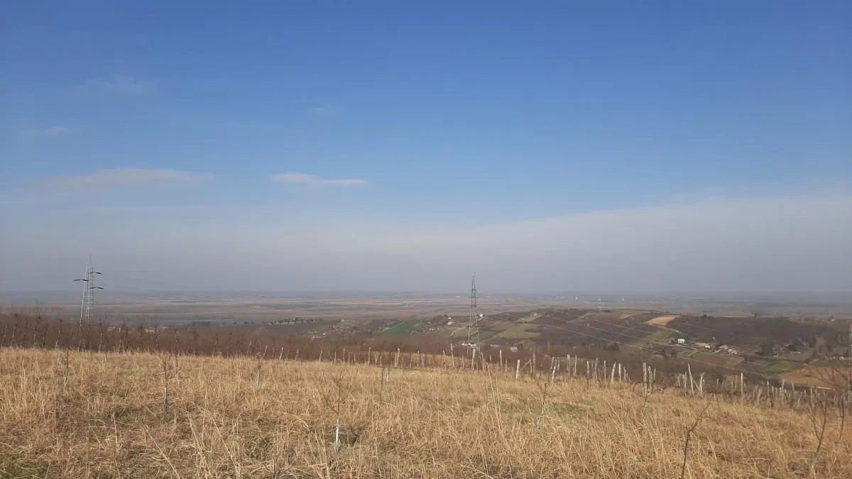 Prodaja, plac, 6400m², Sremski Karlovci, Novi Sad