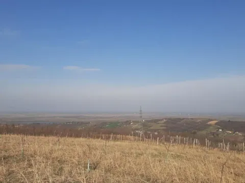 Sale, land lot, 6400m², Sremski Karlovci, Novi Sad - image 3