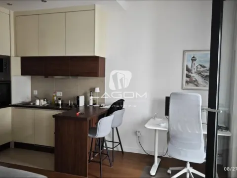 Rent, one bedroom apartment, 28m², Tošin bunar, Novi Beograd Sve Podlokacije - image 7