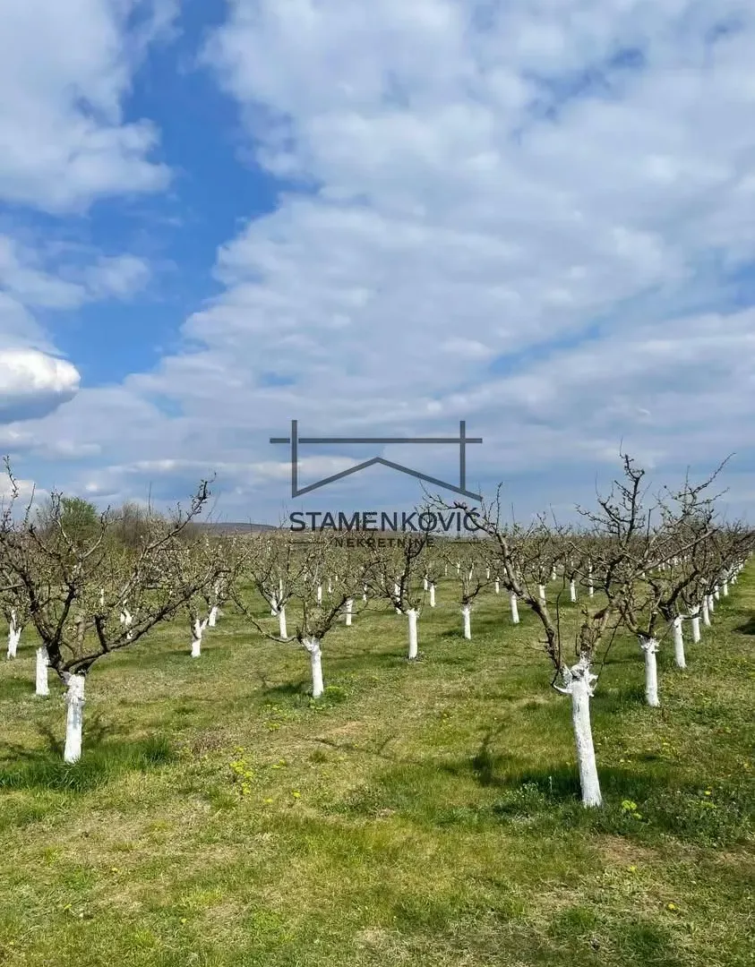 Prodaja, plac, 4636m², Sremska Mitrovica, Srbija