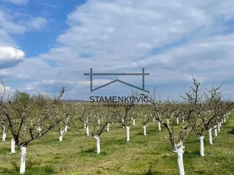 Prodaja, plac, 4636m², Sremska Mitrovica, Srbija - image 10